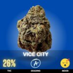 Vice City is a potent hybrid strain with a slight Indica dominance, typically boasting a THC level around 26%