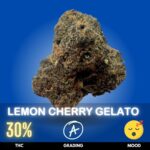 Lemon Cherry Gelato is a flavorful Indica dominant hybrid famous for its dessert-like aroma, colorful buds, and balanced yet powerful effects. This strain is believed to descend from Sunset Sherbet and Girl Scout Cookies genetics, producing THC levels that commonly range around 30%