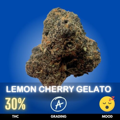 Lemon Cherry Gelato is a flavorful Indica dominant hybrid famous for its dessert-like aroma, colorful buds, and balanced yet powerful effects. This strain is believed to descend from Sunset Sherbet and Girl Scout Cookies genetics, producing THC levels that commonly range around 30%