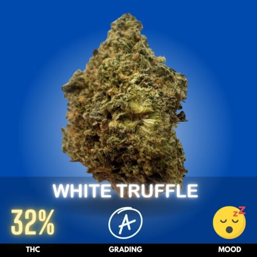 White Truffle is a rare and highly potent Indica dominant hybrid known for its earthy funk, frosty appearance, and deeply calming effects. This premium strain is a phenotype of Gorilla Butter, carrying genetics from Peanut Butter Breath and Gorilla Glue lineage. THC levels commonly range between 25–32%
