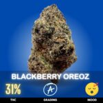 Blackberry Oreoz is a premium Indica-dominant hybrid renowned for its dessert-like flavor, exceptional bag appeal, and deeply relaxing effects
