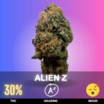 Alien Z is a premium Indica-dominant hybrid