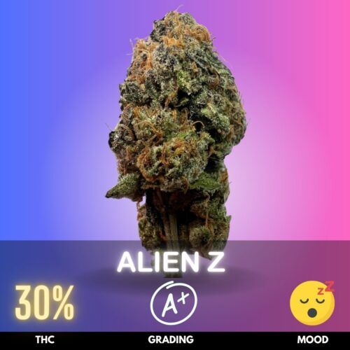 Alien Z is a premium Indica-dominant hybrid