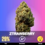 Ztrawberry is a flavorful hybrid cannabis strain bred from Zkittlez and Strawberry Banana genetics. It is slightly Indica dominant and is celebrated for its rich berry sweetness layered with tropical candy notes and a creamy finish. THC typically ranges between 24–30%