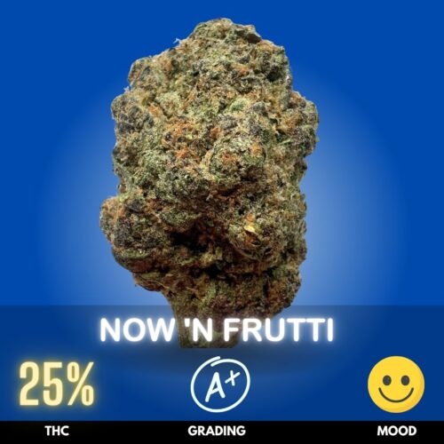 Now 'N Frutti is a Sativa-dominant hybrid created by crossing Now N Later × Di Frutti