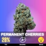 Permanent Cherries is a potent Indica-dominant hybrid known for combining rich cherry sweetness with pungent gas and creamy dessert notes. Commonly associated with Permanent Marker × Cherry-focused genetics