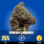 Fresh Cherry is a flavorful hybrid cannabis strain celebrated for its bright fruit character and balanced effects. Often described as Indica-dominant, it commonly features THC levels around 25%