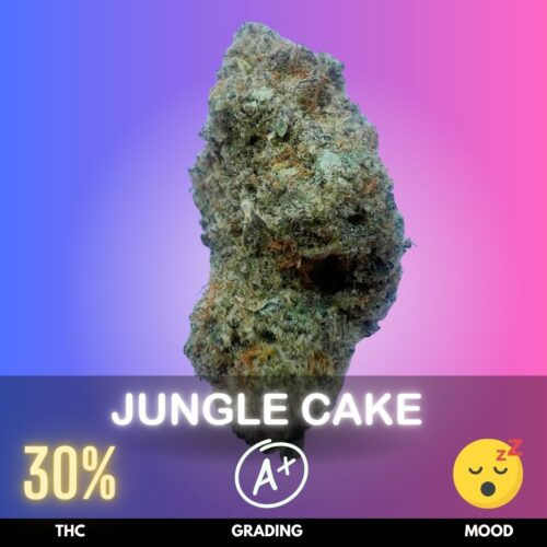 Jungle Cake is a potent Indica-dominant hybrid celebrated for its rich dessert-like character and powerful combination of cerebral stimulation and physical relaxation. Its genetics come from White Fire #43 × Wedding Cake