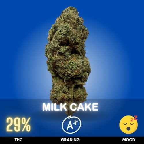 Milk Cake is an Indica-dominant hybrid bred from Wedding Cake × Kush Mints, combining dessert-inspired sweetness with a creamy, minty finish. With THC levels of 24–30%