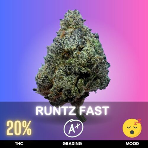 Runtz Fast is a fast-flowering, Indica-dominant hybrid combining the celebrated Runtz lineage with Uncirculated OG Auto genetics