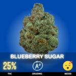 Blueberry Sugar is a flavorful hybrid known for its intensely sweet berry character, blending ripe blueberry notes with sugary candy, creamy fruit, and subtle earthy undertones. Commonly found around 25% THC