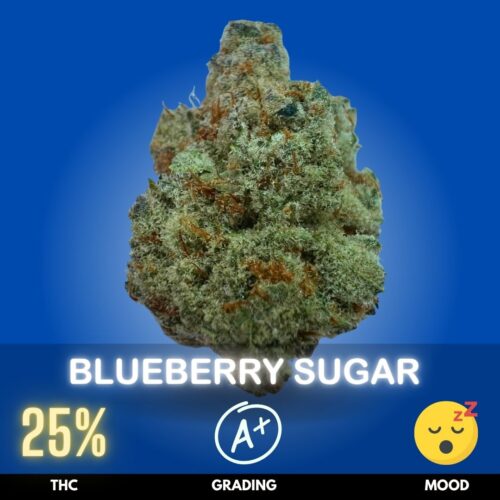Blueberry Sugar is a flavorful hybrid known for its intensely sweet berry character, blending ripe blueberry notes with sugary candy, creamy fruit, and subtle earthy undertones. Commonly found around 25% THC